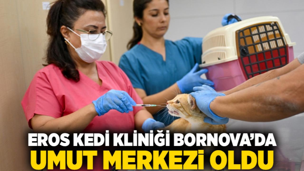 Eros Kedi Kliniği Bornova’da umut merkezi oldu