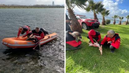 İzmir İtfaiyesi ayağına misina dolanan flamingoyu kurtardı