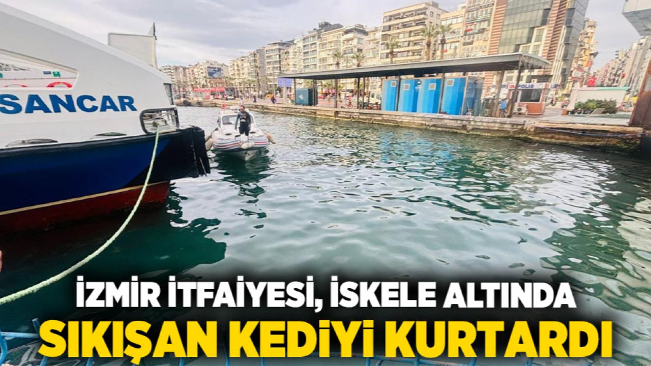 İzmir İtfaiyesi, iskele altında sıkışan kediyi kurtardı