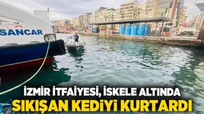 İzmir İtfaiyesi, iskele altında sıkışan kediyi kurtardı