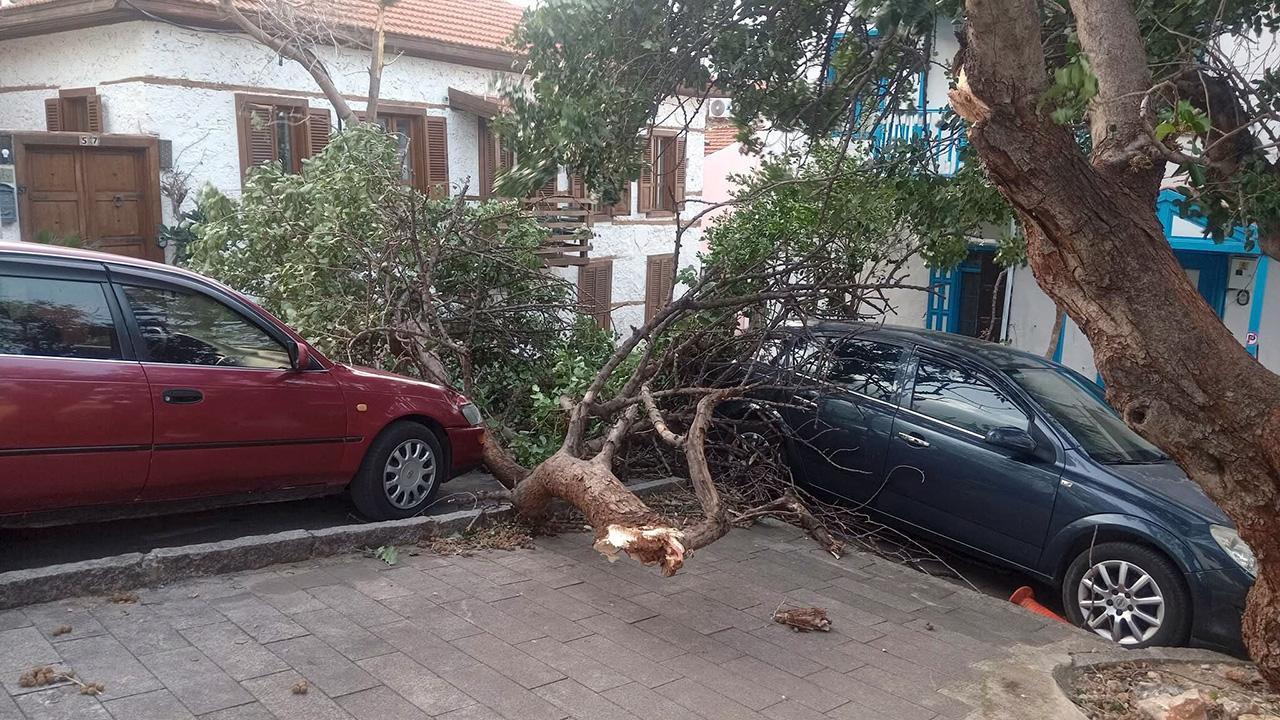 Kaş’ta fırtına: Ağaçlar söküldü, elektrik direkleri devrildi