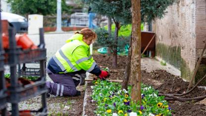 Narlıdere Belediyesi, ilçenin dört bir yanında sürdürdüğü çevre düzenlemesi ve peyzaj çalışmalarıyla kente estetik bir görünüm kazandırıyor