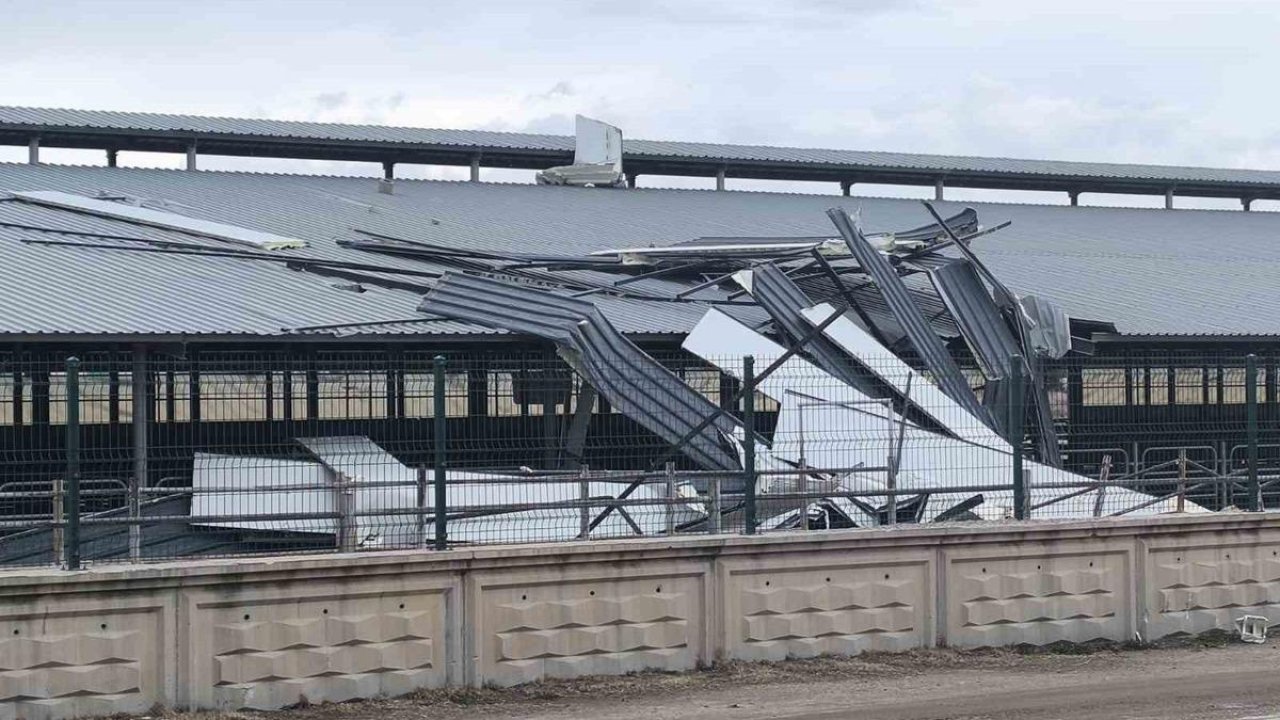 Şiddetli rüzgar işyerinin çatısını uçurdu