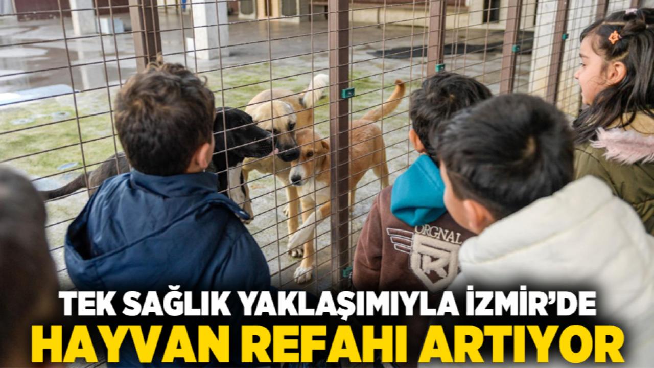 Tek Sağlık yaklaşımıyla İzmir’de hayvan refahı artıyor