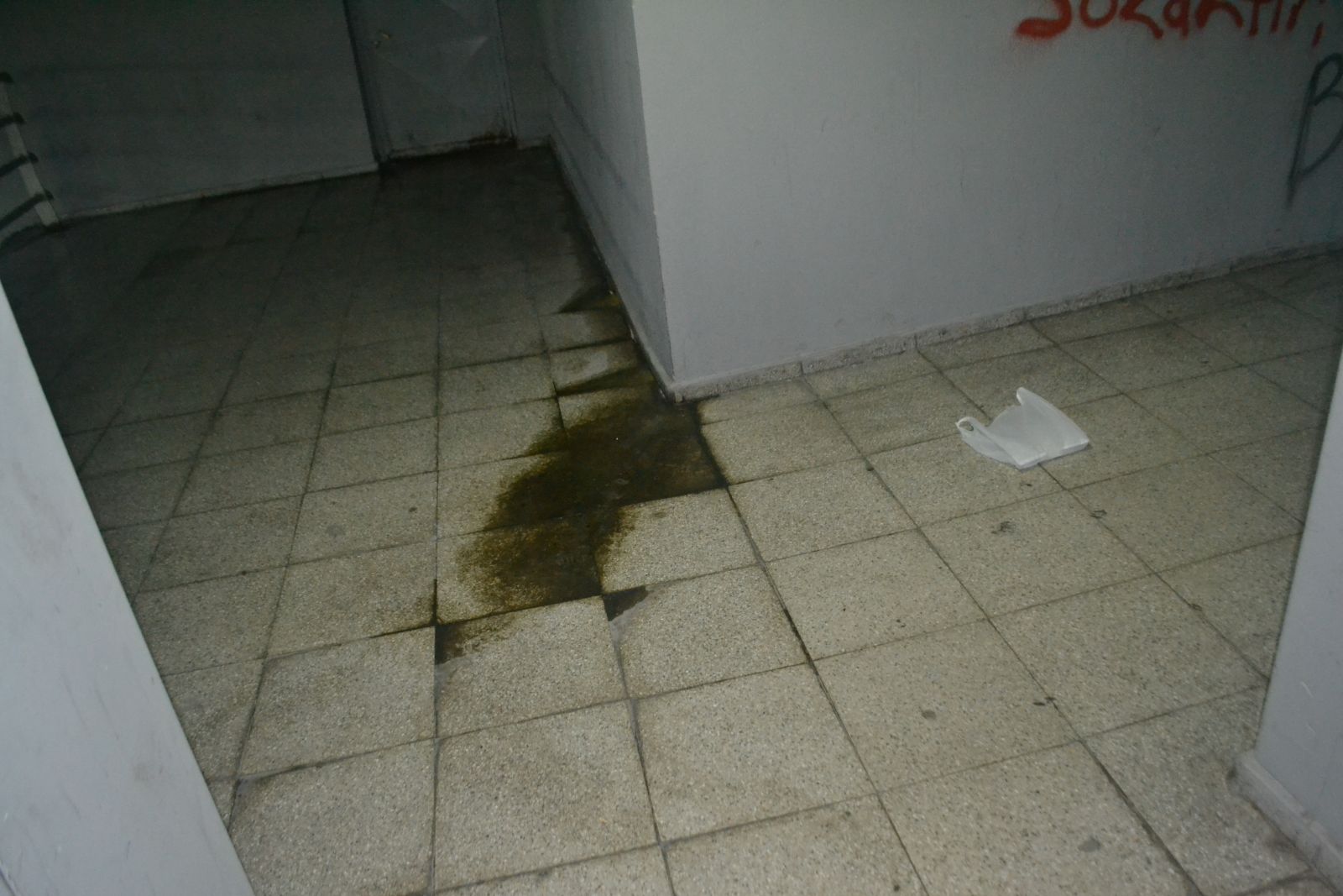 Alt Geçit Değil, Kapalı Tuvalet