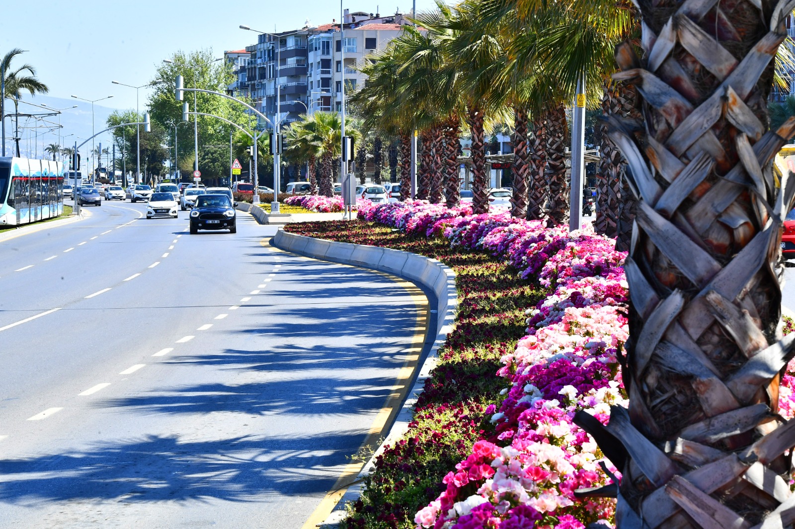 İzmir çiçek açtı