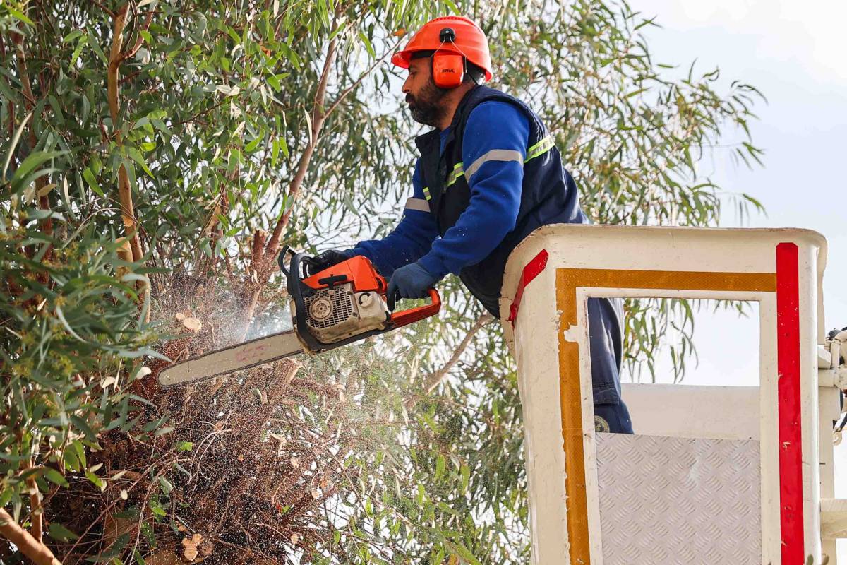Buca’da budama seferberliği