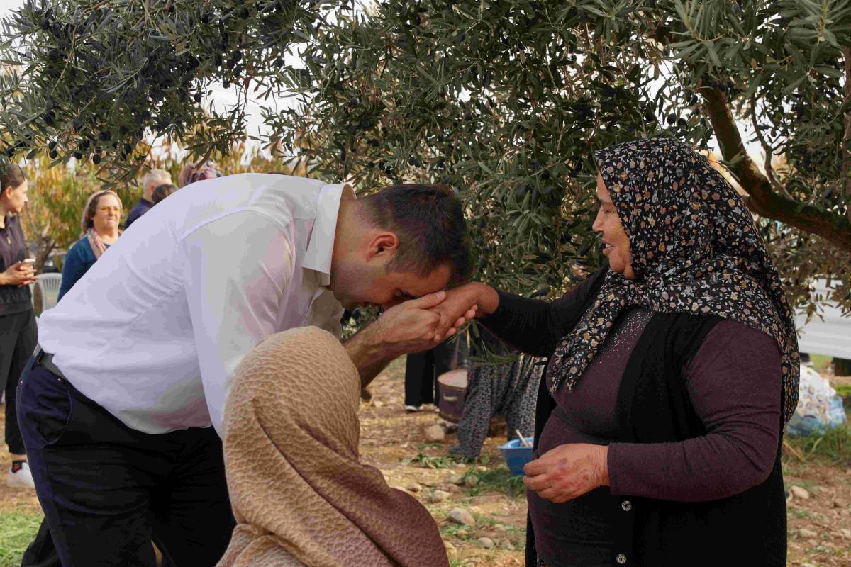 GÜÇ: CHP İKTİDARIMIZDA ZEYTİNCİLİK HAK ETTİĞİ DEĞERİ GÖRECEK