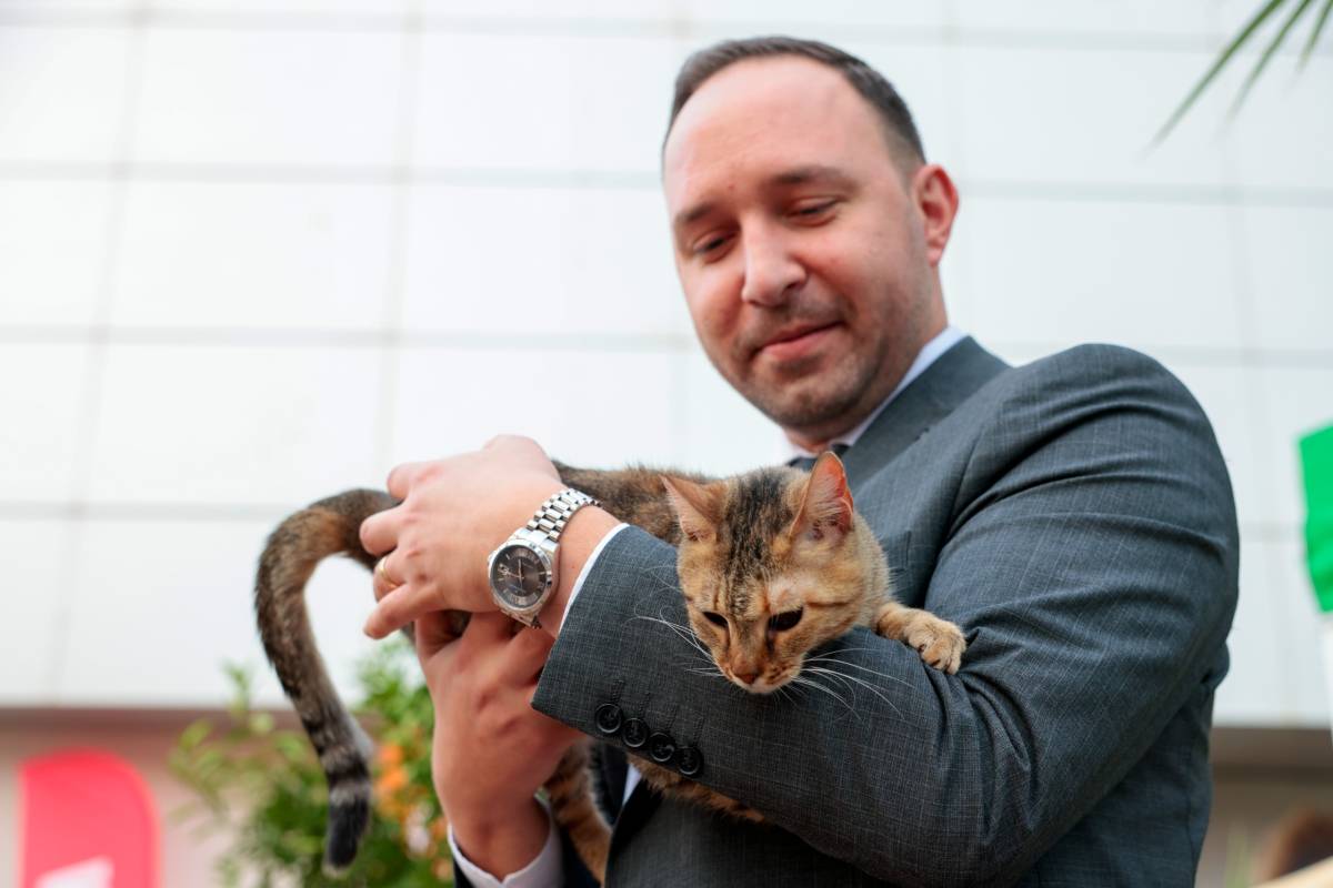 Konak’ta kalpler patili dostlar için attı