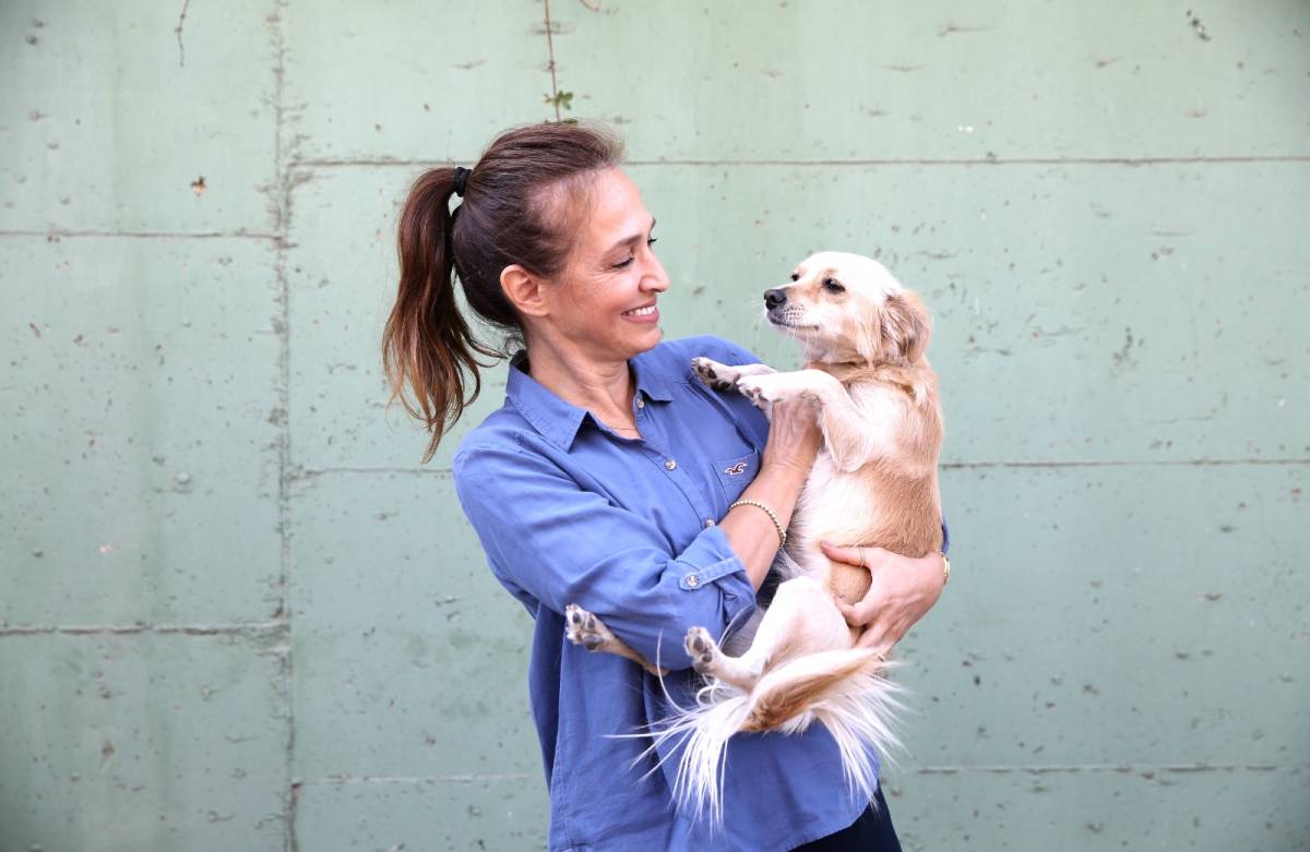 1 yılda 40 bin can dosta şefkat eli uzandı