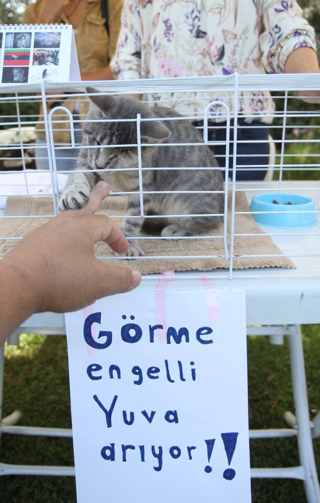 1 yılda 40 bin can dosta şefkat eli uzandı