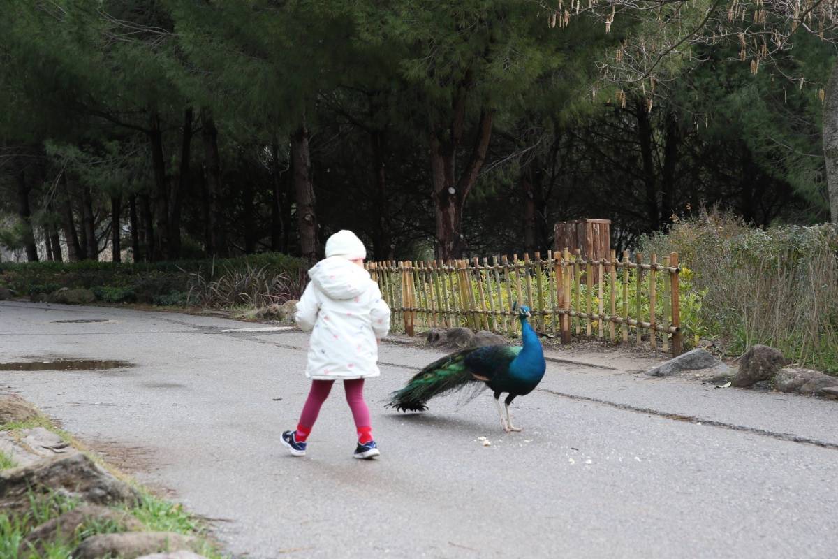 Çiğli Belediyesi’nden Çocuklara Unutulmaz Tatil Hediyesi